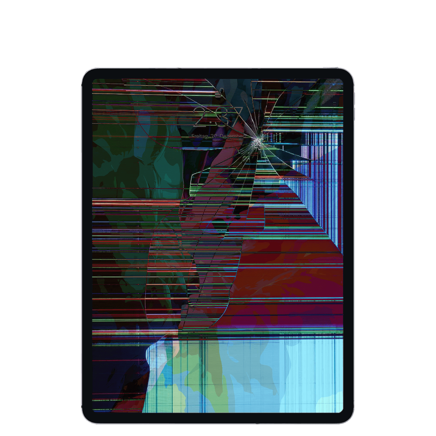 iPad Pro 12,9" (5.Generation, 2021) Reparatur