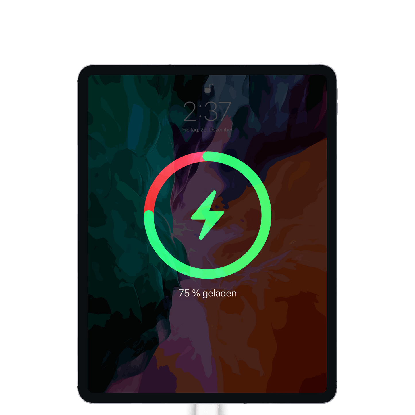 iPad Pro 12,9" (3.Generation, 2018) Reparatur