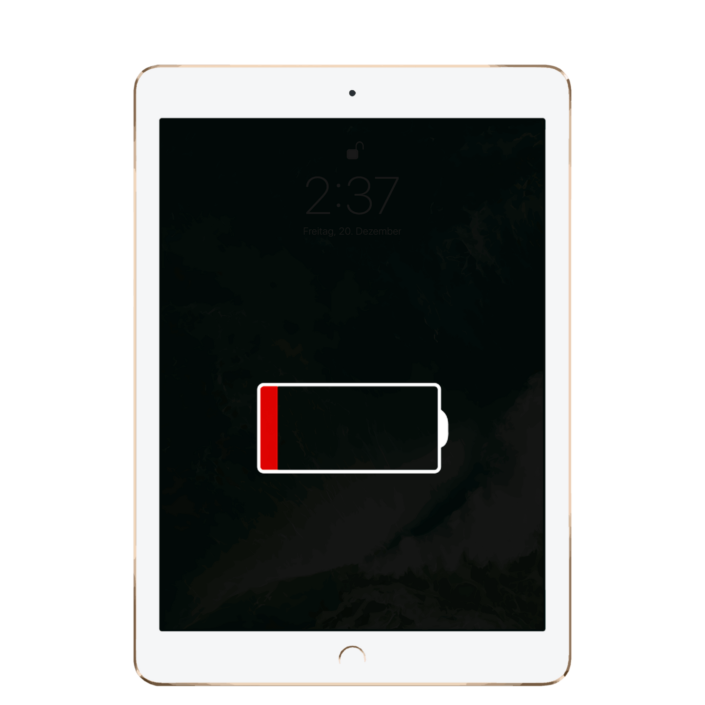 iPad Pro 9,7" (2016) Reparatur