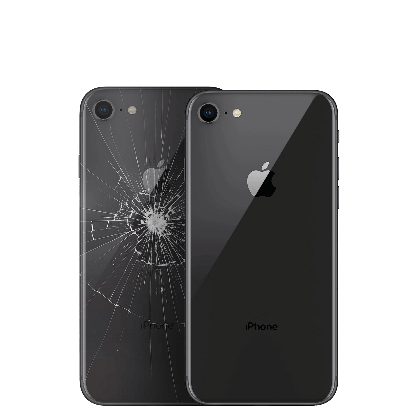 iPhone SE (2020) Rückseite Reparatur